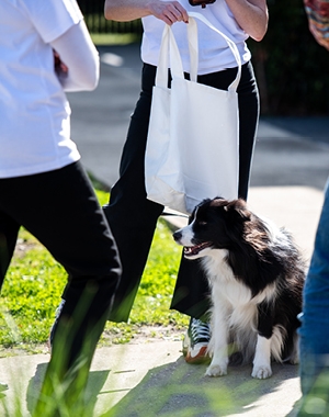 Charitable Foundation_Web Tile_091023_1.jpg